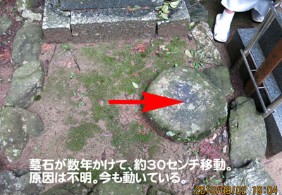 �Ի׵Ĥ�ư������