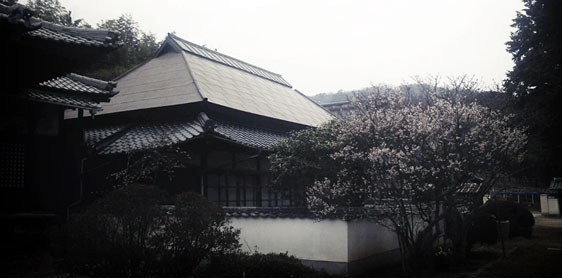 ���߱��̿�